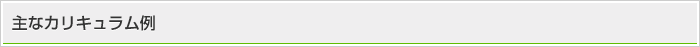 主なカリキュラム例